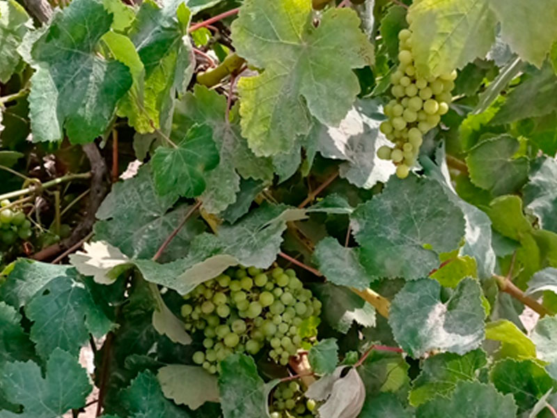 G&V - Aprendizajes <br /> EL HOMBRE Y SU RELACION CON EL MEDIO AMBIENTE